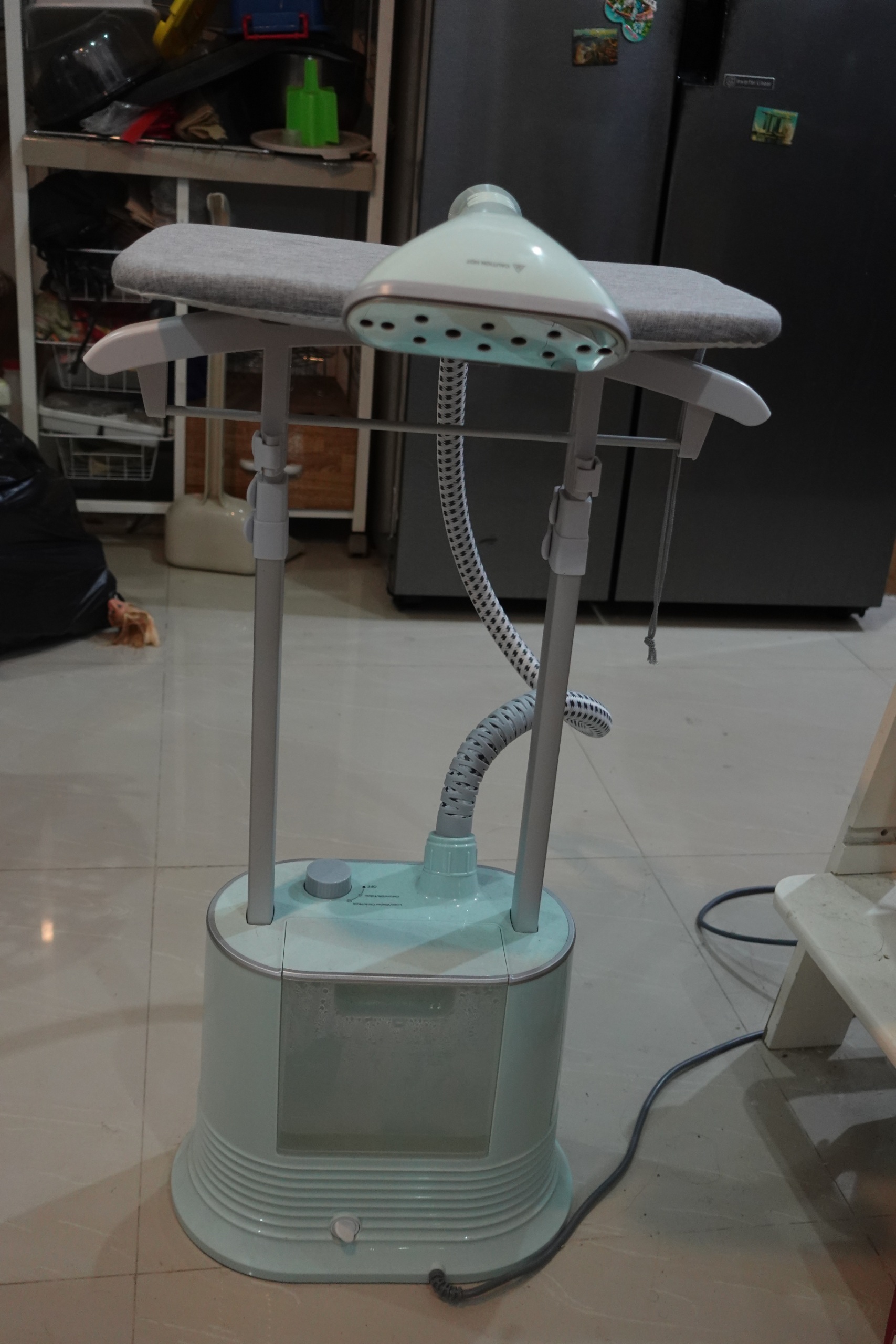Garment steamer with board mint green